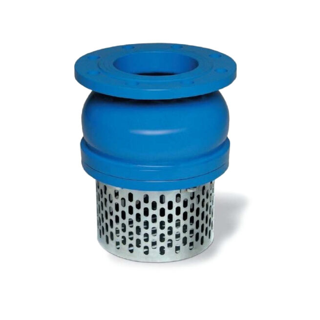 Válvula de pie DN250 filtro acero inoxidable
