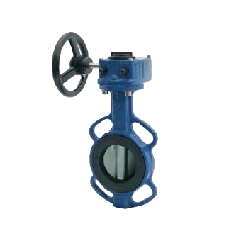 Cast iron butterfly valve DN125 stainless steel disc reducer. VAMEIN