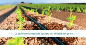 La agricultura española apuesta por el riego por goteo