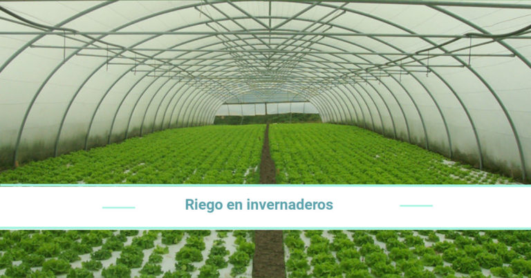 Tipos De Riego En Invernaderos