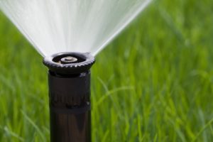 Vantaggi e caratteristiche dell'irrigazione a pioggia