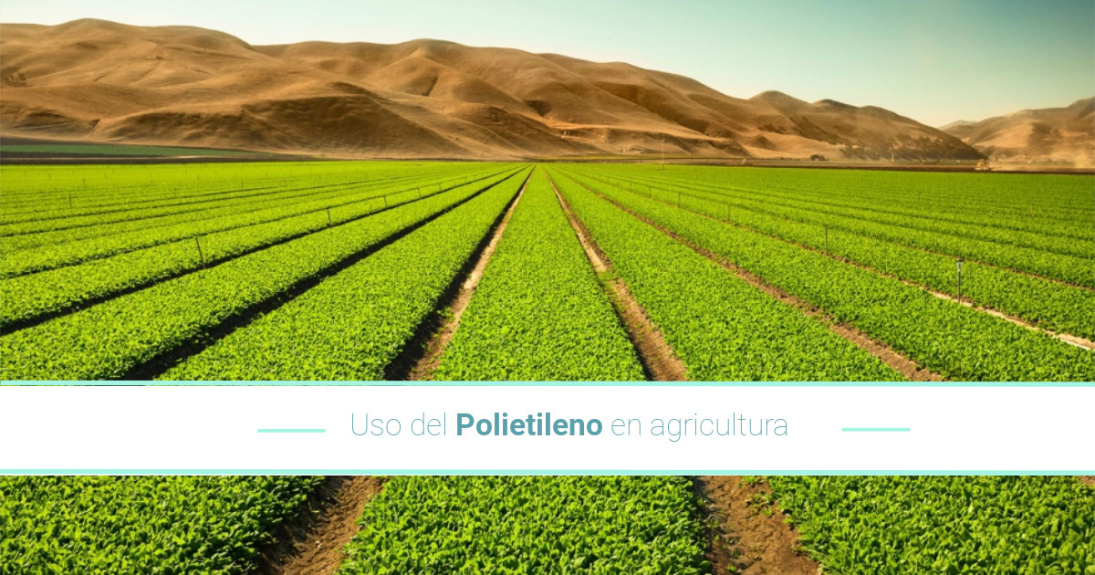 Uso del polietileno en la agricultura