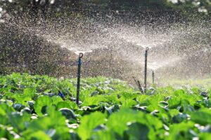 irrigation with valves and solenoid valves