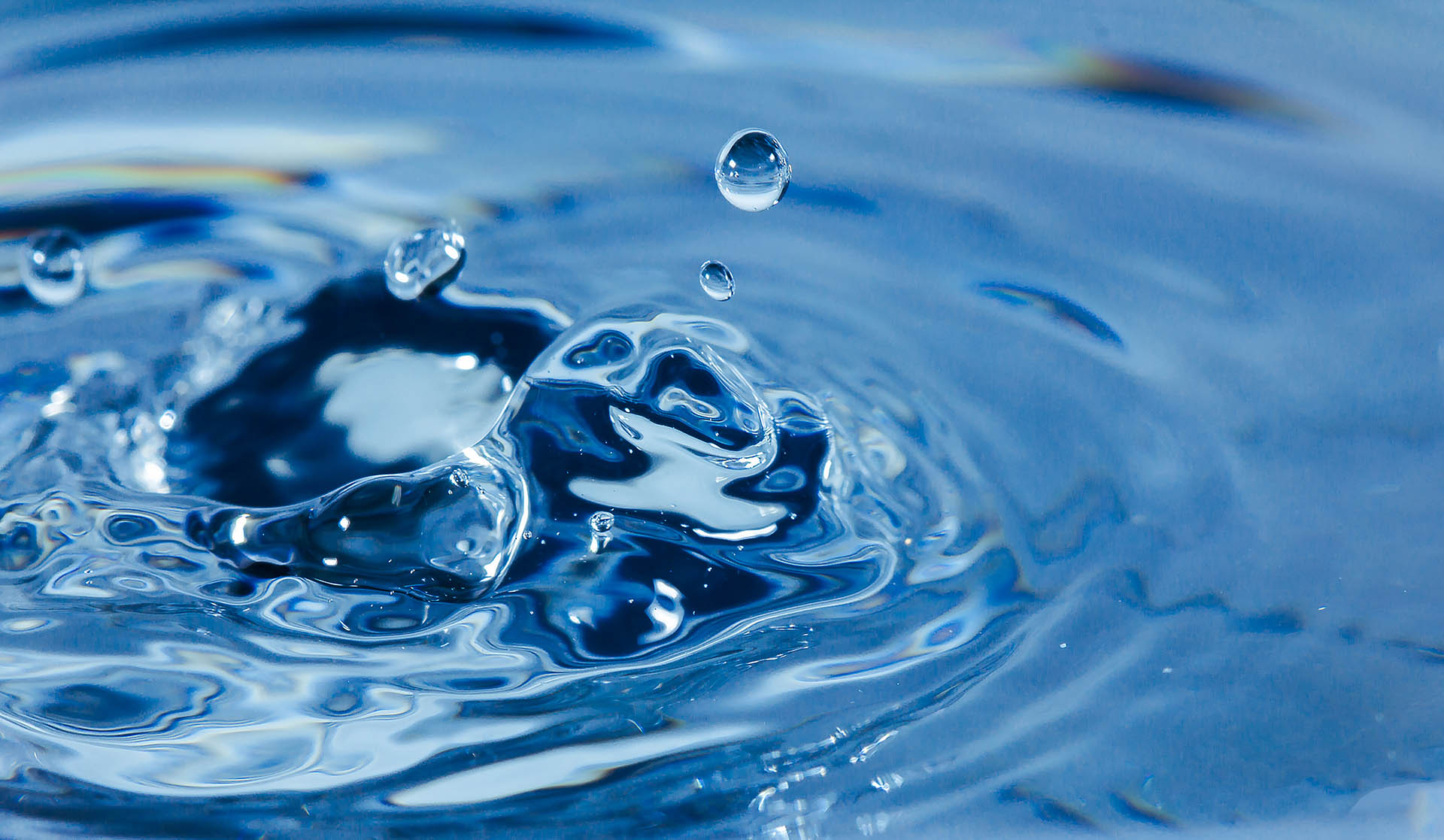 como ahorrar agua en tus sistemas de riego