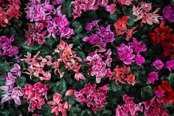 accesorios para tu jardín