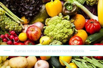 Buenas noticias para el sector hortofrutícola