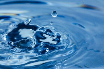 como ahorrar agua en tus sistemas de riego