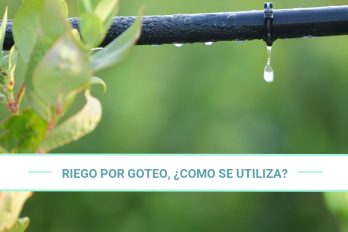 Riego por goteo, ¿cómo se utiliza?