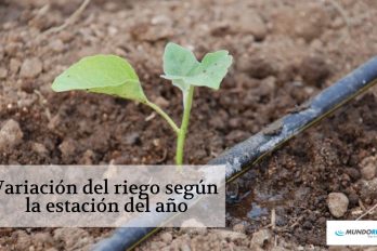 Cómo varía el riego según la estación del año. ¡Prepárate para el verano!
