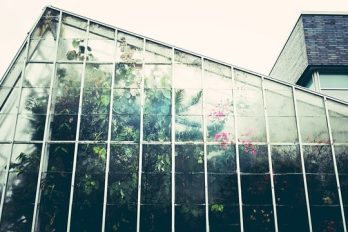 Ventajas del riego por goteo en invernaderos